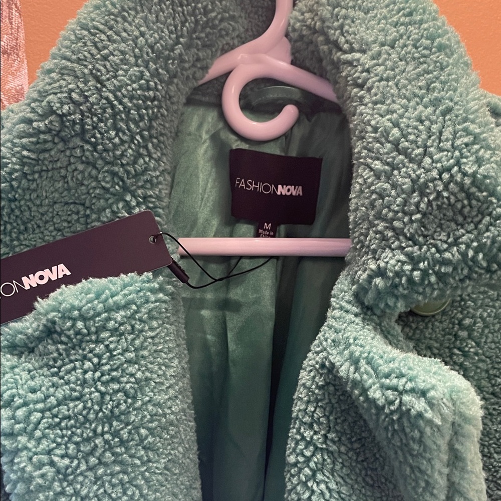 Fashion Nova Mint Green Teddy Coat